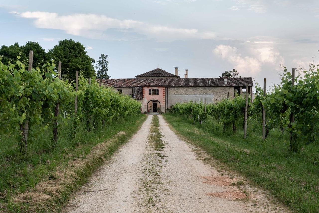 Fiori&Vigne Di Cecilia Marcon Villa Farra di Soligo Екстериор снимка