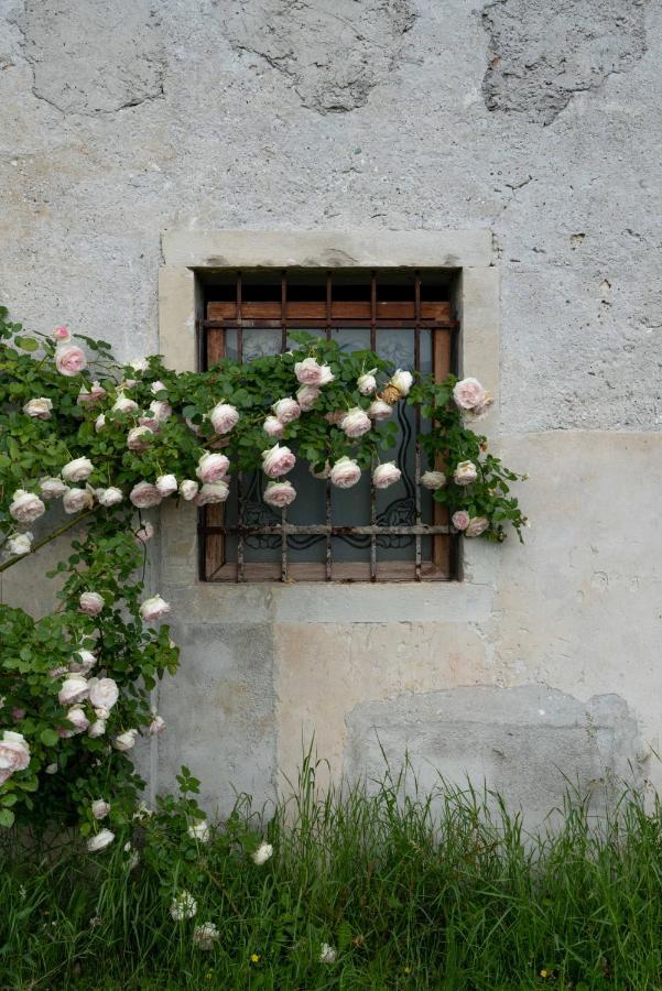 Fiori&Vigne Di Cecilia Marcon Villa Farra di Soligo Екстериор снимка